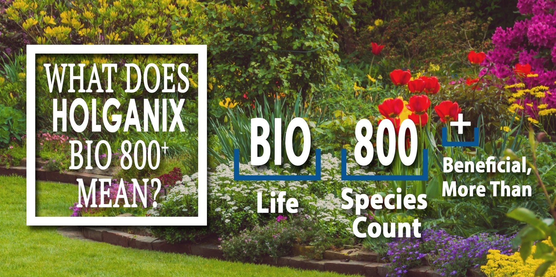 What s Really In A Jug Of Holganix Bio 800 